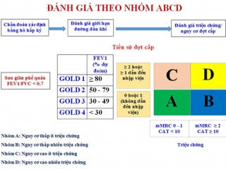 HƯỚNG DẪN ĐIỀU TRỊ BỆNH PHỔI TẮC NGHẼN MẠN TÍNH (COPD) 2018 CỦA VIỆT NAM